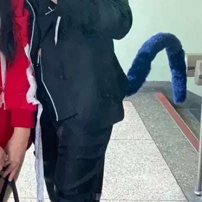 [BUNJANG] Toma Tsukiyomi Ikuto Cosplay Full Set / (추가금x)캐캐체 토마 캐릭캐릭체인지코스프레올풀셋대여판매 졸업사진 졸사