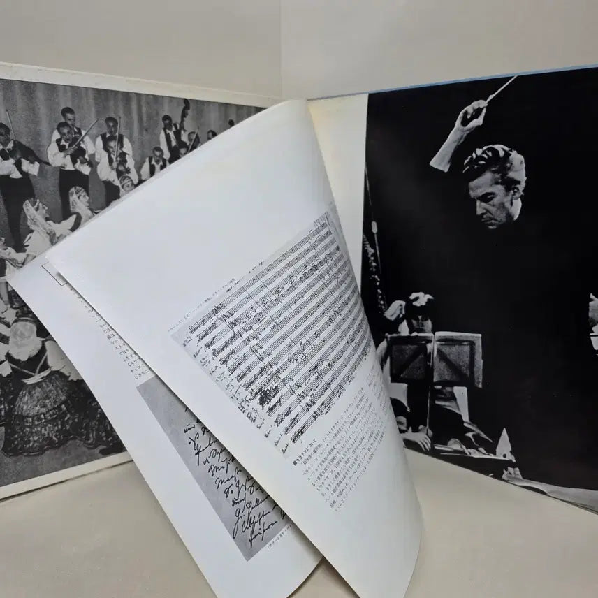 [BUNJANG] Karajan &amp; Berlin Philharmonic Brahms &amp; Dvorak LP Vinyl Record / 브람스 8 헝가리 무곡 &amp; 드보르자크 5 슬라브 무곡/카라얀,베를린필LP