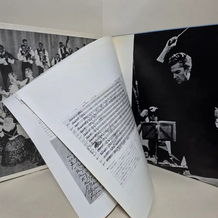[BUNJANG] Karajan &amp; Berlin Philharmonic Brahms &amp; Dvorak LP Vinyl Record / 브람스 8 헝가리 무곡 &amp; 드보르자크 5 슬라브 무곡/카라얀,베를린필LP