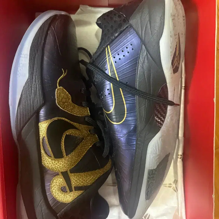[BUNJANG] Kobe 5 Protro Year of the Mamba Sneakers / 코비5 프로트로 이어오브 맘바 270
