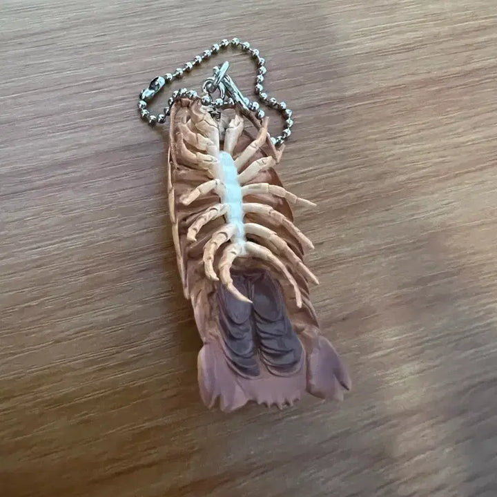 [BUNJANG] Unidentified Horseshoe Crab Model Keychain / 투구게 모형 키링