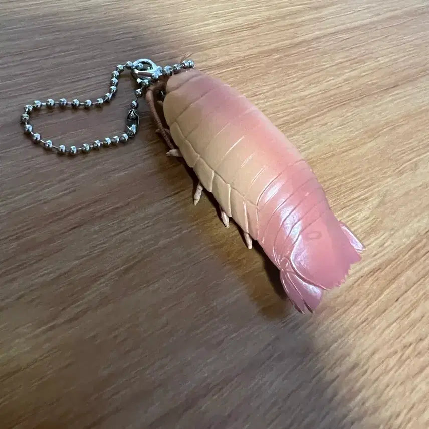[BUNJANG] Unidentified Horseshoe Crab Model Keychain / 투구게 모형 키링