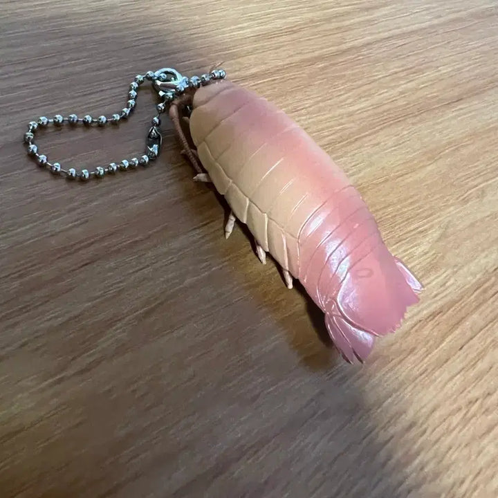 [BUNJANG] Unidentified Horseshoe Crab Model Keychain / 투구게 모형 키링
