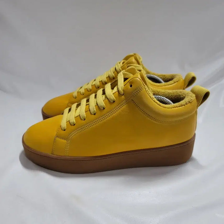 [BUNJANG] Bottega Veneta Low-Top Lace-Up Sneakers (Men&