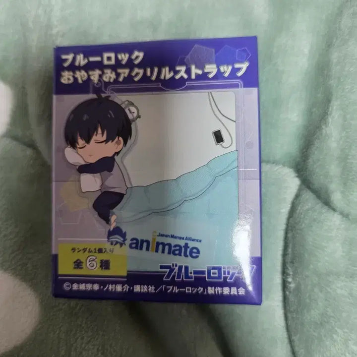 [BUNJANG] Blue Lock Keyring / 블루록 키링