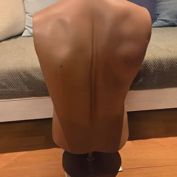 [BUNJANG] Male Mannequin Muscle Dwarf Mannequin / 남성형 마네킹 남성형 근육질 난쟁이 마네킹