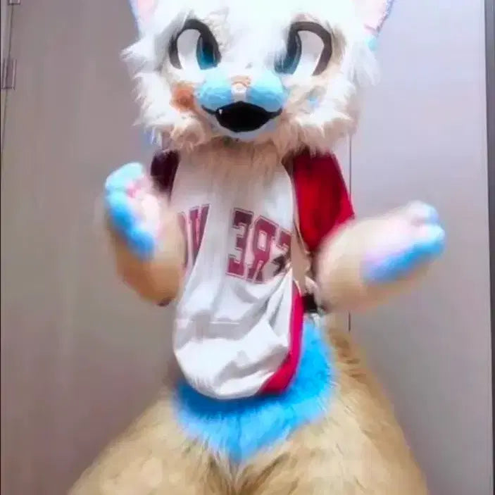 [BUNJANG] Fursuit for Sale / 퍼슈트 판매