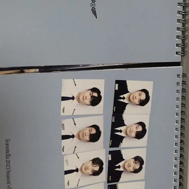 [SOLD OUT] 포레스텔라 2023 시즌그리팅 시그