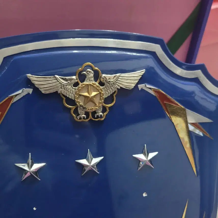 [BUNJANG] Korean Air Force Lieutenant General Commemorative Plaque / 수집 / 밀리터리 공군 3성장군(중장) 기념패 한점팝니다.