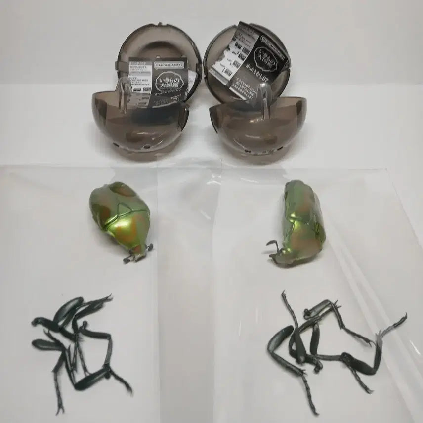 [BUNJANG] Bandai Bio-figure Azure Dragon Set / 반다이 생물대도감 청풍이 두마리세트 한마리 가격에 두 마리 가져가세요