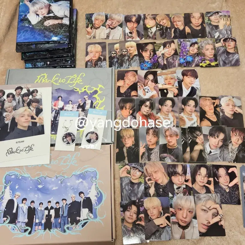 [SOLD OUT] Back to Life 앨범 포토카드 위버스 특전 앤팀 백투라이프 포카