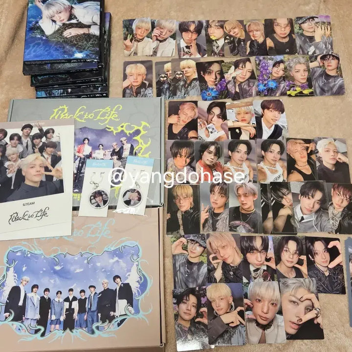 [SOLD OUT] Back to Life 앨범 포토카드 위버스 특전 앤팀 백투라이프 포카
