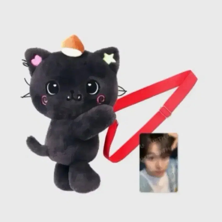 [BUNJANG] Wishdoll Kuri Bag Photocard Included / 위시돌 쿠리 가방 포카 포함