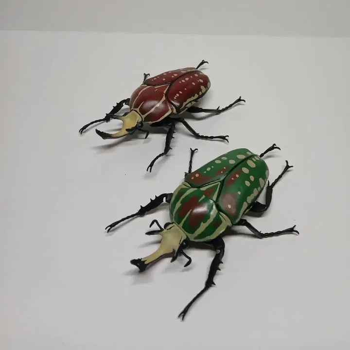 [BUNJANG] Bandai Polyphemus Beetle Figure Set / 반다이 생물대도감 폴리페무스귀신꽃무지 2종 세트