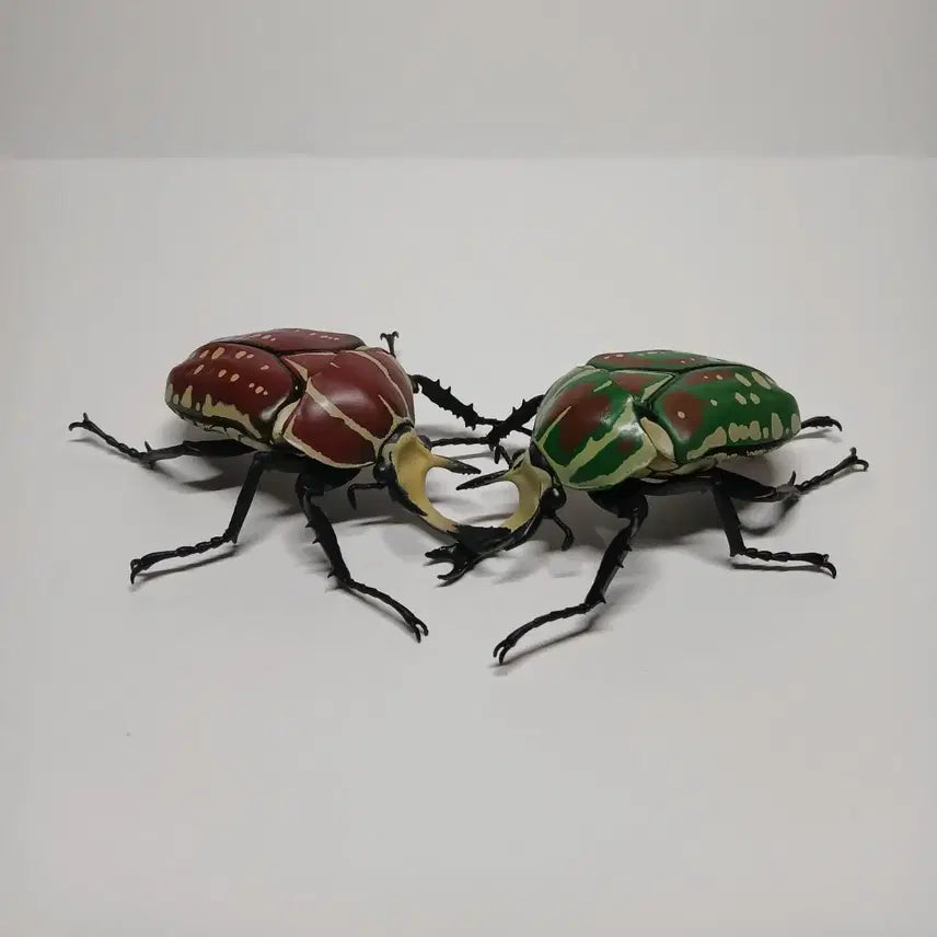 [BUNJANG] Bandai Polyphemus Beetle Figure Set / 반다이 생물대도감 폴리페무스귀신꽃무지 2종 세트