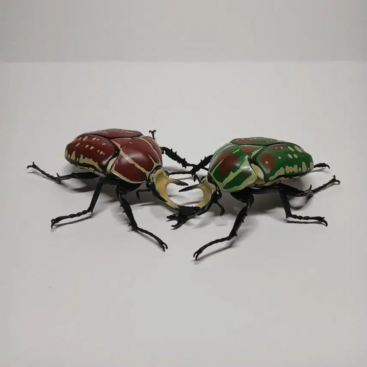 [BUNJANG] Bandai Polyphemus Beetle Figure Set / 반다이 생물대도감 폴리페무스귀신꽃무지 2종 세트
