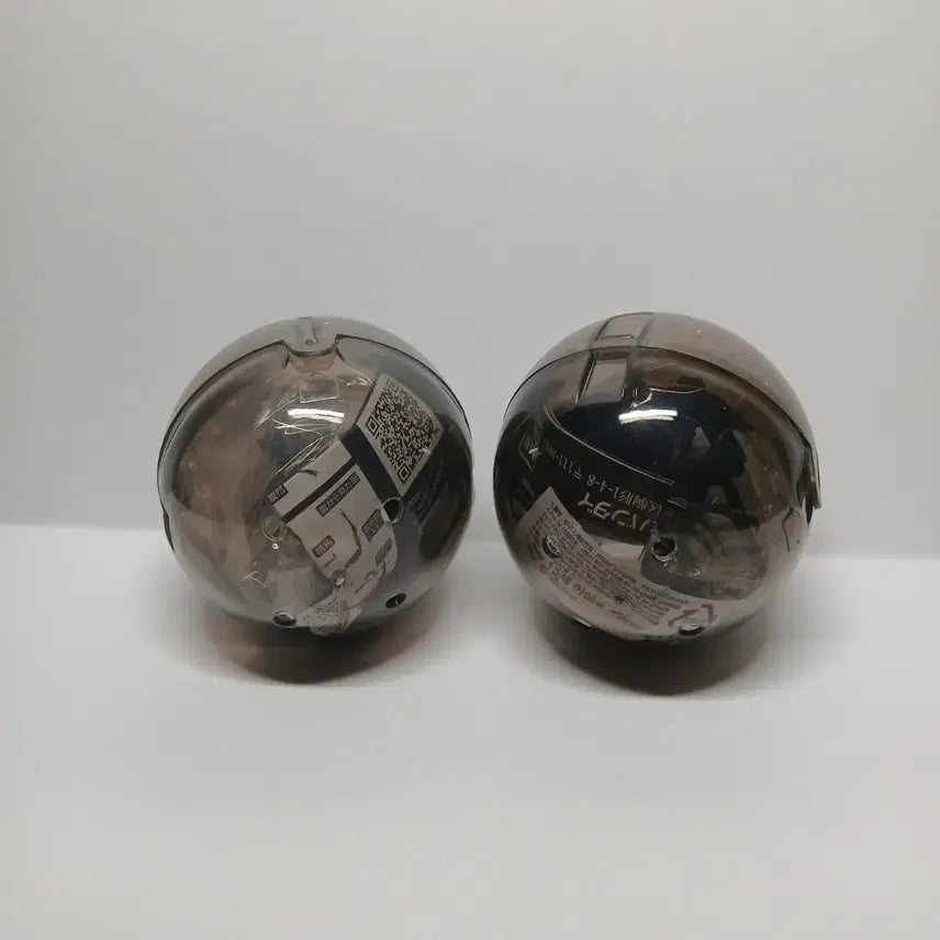 [BUNJANG] Bandai Polyphemus Beetle Figure Set / 반다이 생물대도감 폴리페무스귀신꽃무지 2종 세트