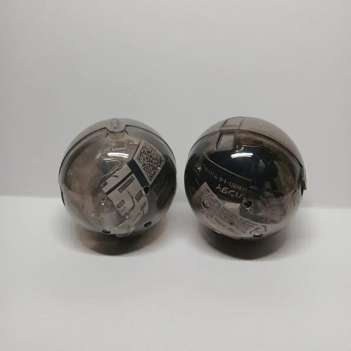 [BUNJANG] Bandai Polyphemus Beetle Figure Set / 반다이 생물대도감 폴리페무스귀신꽃무지 2종 세트