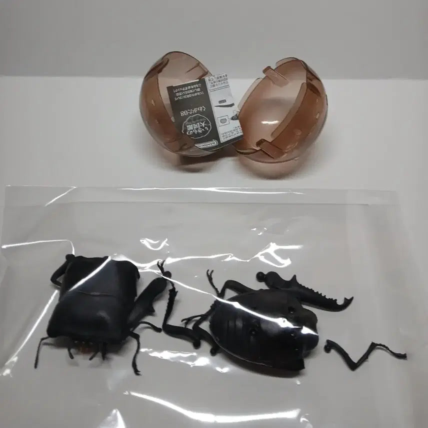 [BUNJANG] Bandai Palawan Stag Beetle Figure / 반다이 생물대도감 팔라완넓적사슴벌레