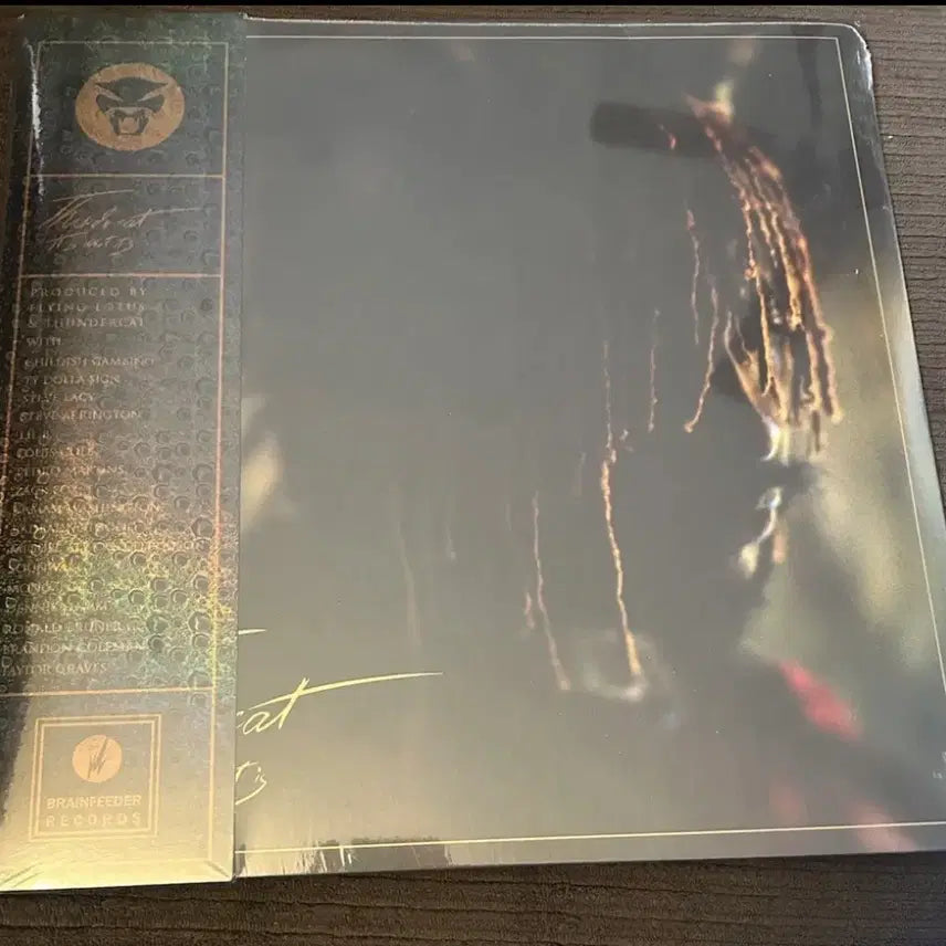 [BUNJANG] Thundercat It Is What It Is LP Red Version / Thundercat - it is what it is lp레드반 미개봉