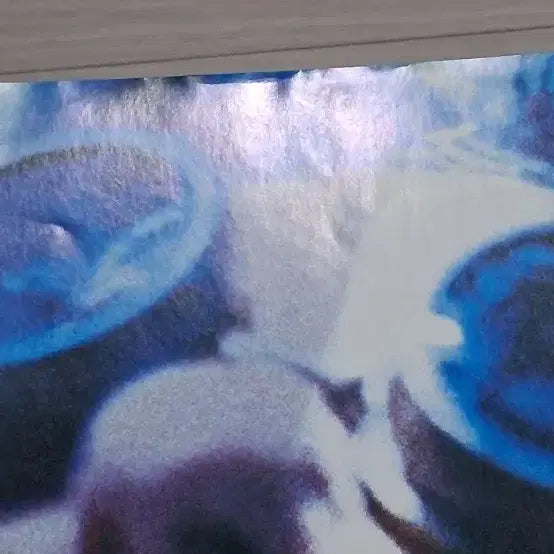 [BUNJANG] Haunted Hill (2000) Movie Flyer / 윌리엄말론감독 제프리러쉬 팜케얀센 헌티드힐(2000년)전단지
