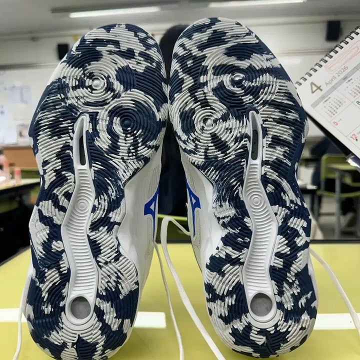 [BUNJANG] Mizuno Wave Transista Basketball Shoes / 미즈노 농구화 웨이브 트렌지스타 275