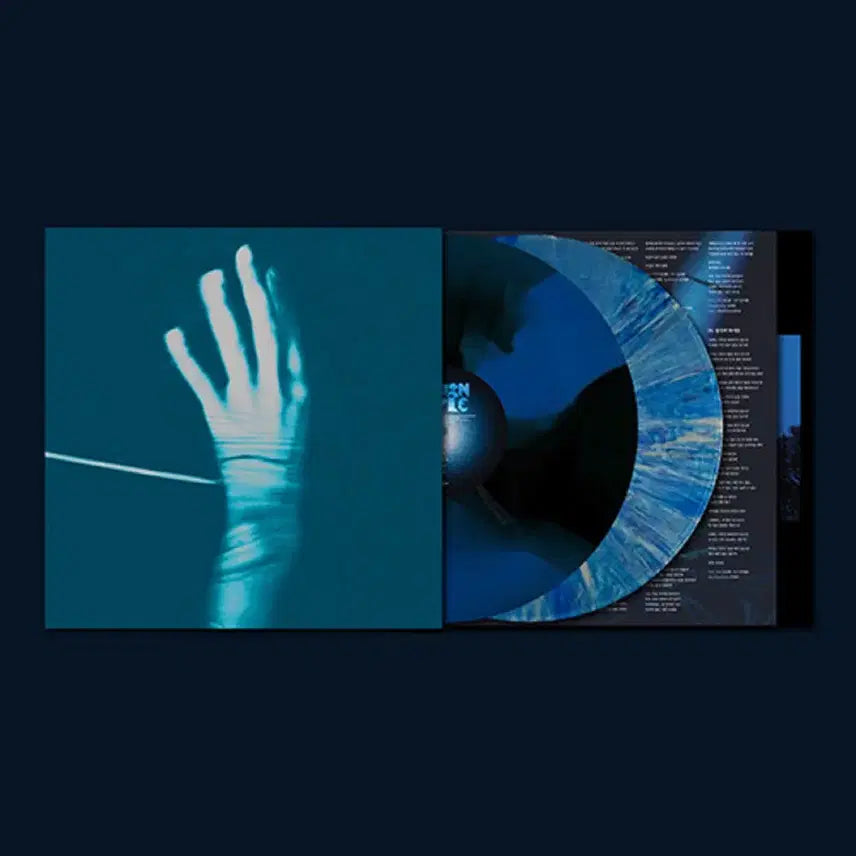 [SOLD OUT] 쏜애플 이상기후 10주년 기념반 LP