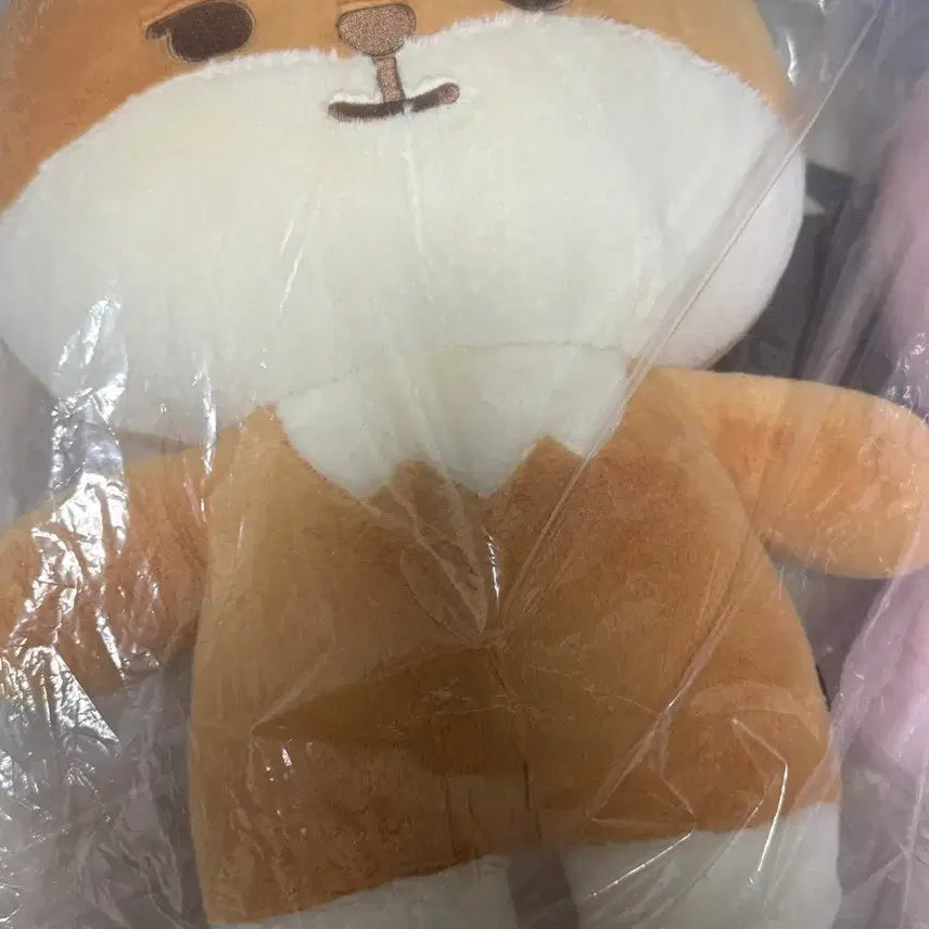 [SOLD OUT] (미개봉) 데이식스 자이언트 쁘띠멀즈 케 자쁘멀