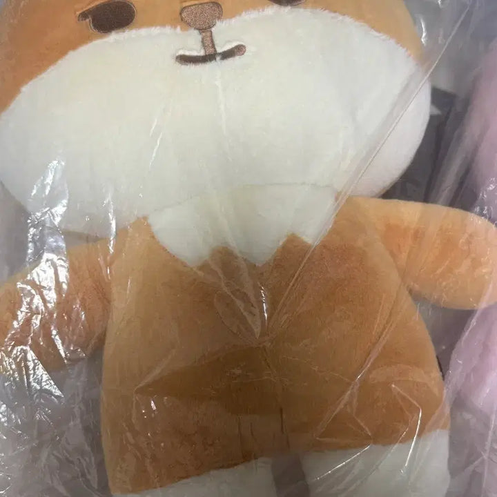 [SOLD OUT] (미개봉) 데이식스 자이언트 쁘띠멀즈 케 자쁘멀