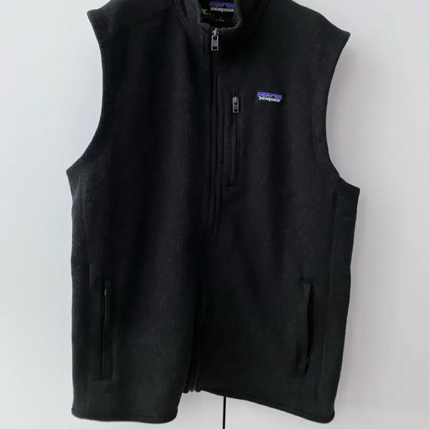 [BUNJANG] Patagonia Synchilla Fleece Vest / 파타고니아 플리스 조끼 집업 신칠라 L 베스트 후리스 레트로