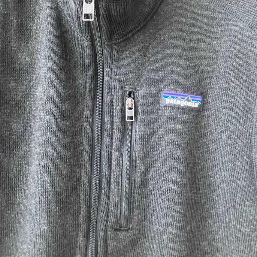 [BUNJANG] Patagonia Synchilla Fleece Vest / 파타고니아 플리스 조끼 집업 신칠라 L 베스트 후리스 레트로