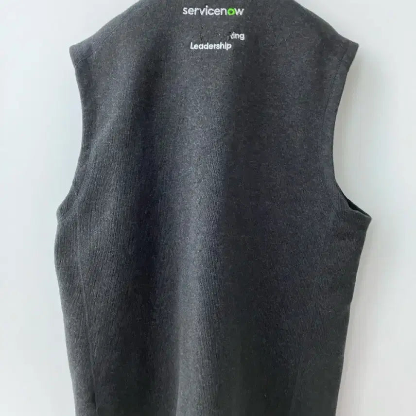 [BUNJANG] Patagonia Synchilla Fleece Vest / 파타고니아 플리스 조끼 집업 신칠라 L 베스트 후리스 레트로