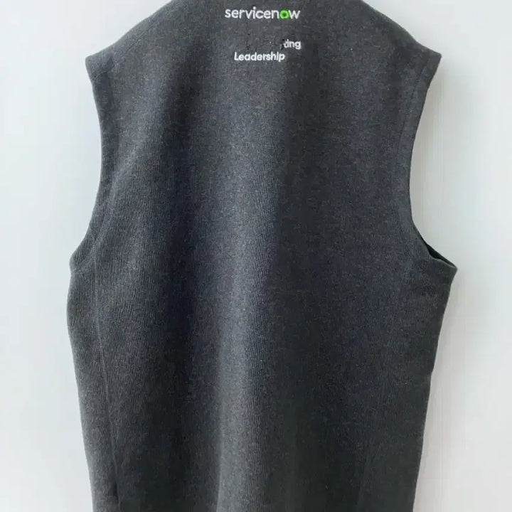 [BUNJANG] Patagonia Synchilla Fleece Vest / 파타고니아 플리스 조끼 집업 신칠라 L 베스트 후리스 레트로