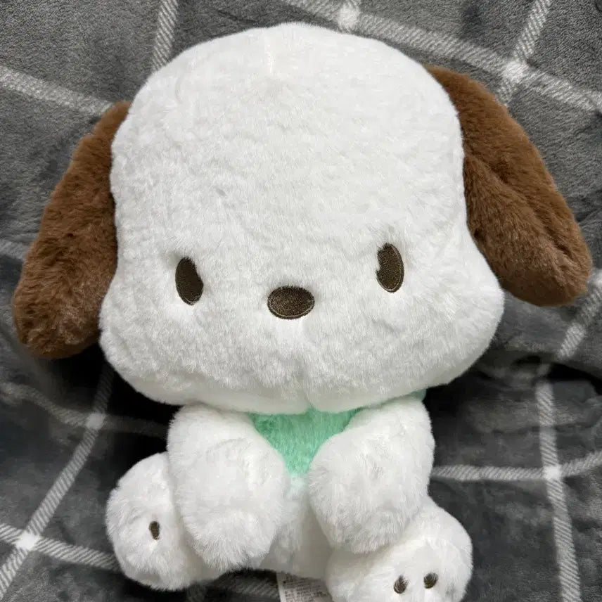 [BUNJANG] Sanrio Pochacco Big Plush Doll / 포차코 갸우뚱 BIG 인형