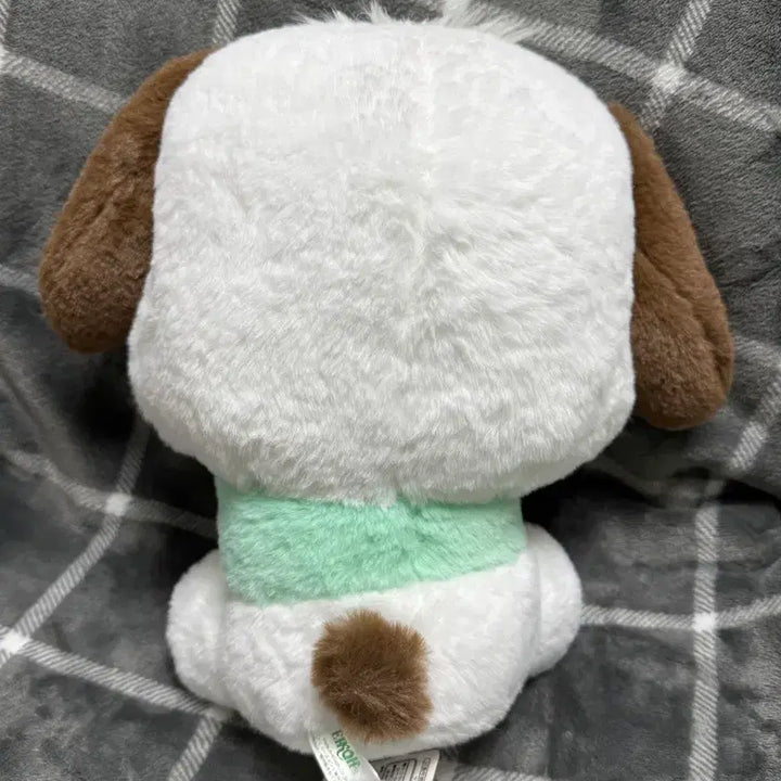 [BUNJANG] Sanrio Pochacco Big Plush Doll / 포차코 갸우뚱 BIG 인형