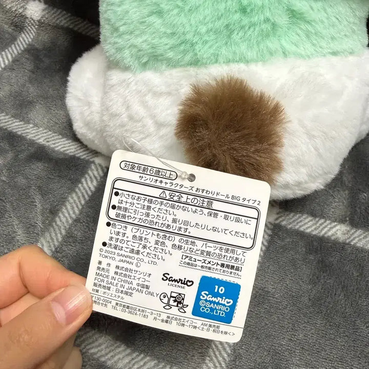 [BUNJANG] Sanrio Pochacco Big Plush Doll / 포차코 갸우뚱 BIG 인형