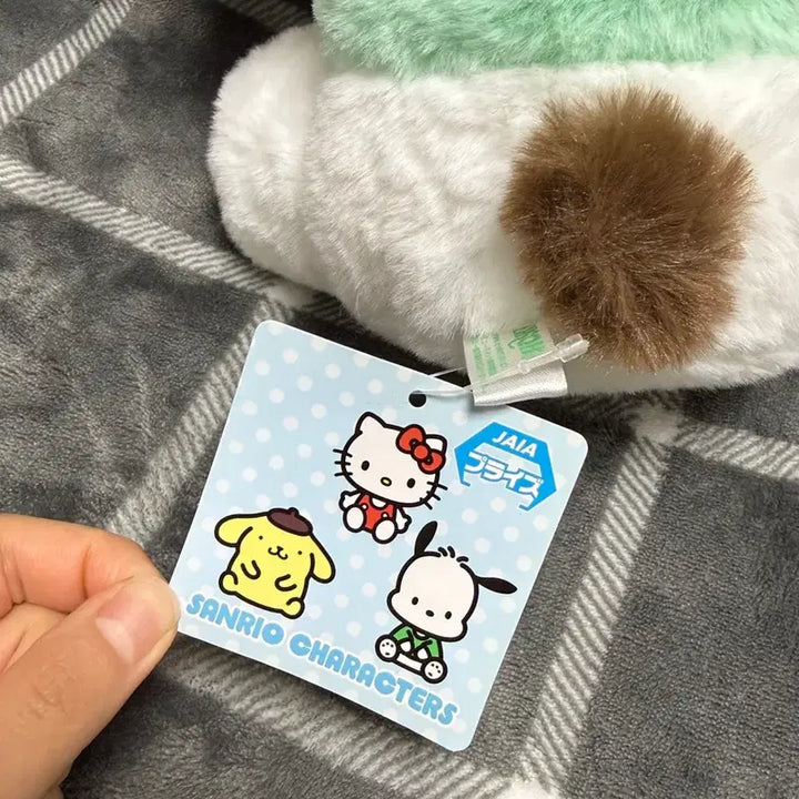 [BUNJANG] Sanrio Pochacco Big Plush Doll / 포차코 갸우뚱 BIG 인형