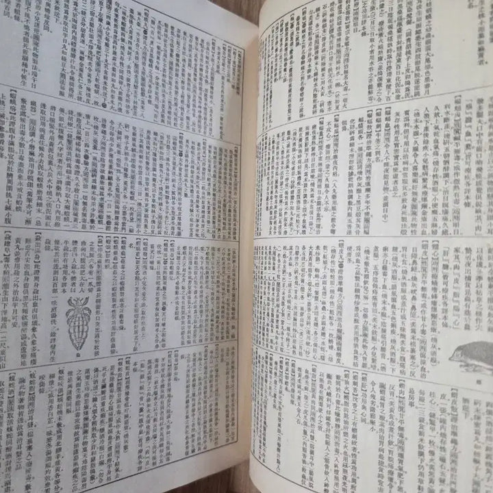 [BUNJANG] 일제강점기 소화13년 조선 경성 동양 의학 대사전 / 일제강점기 소화13년 조선 경성 동양 의학 대사전