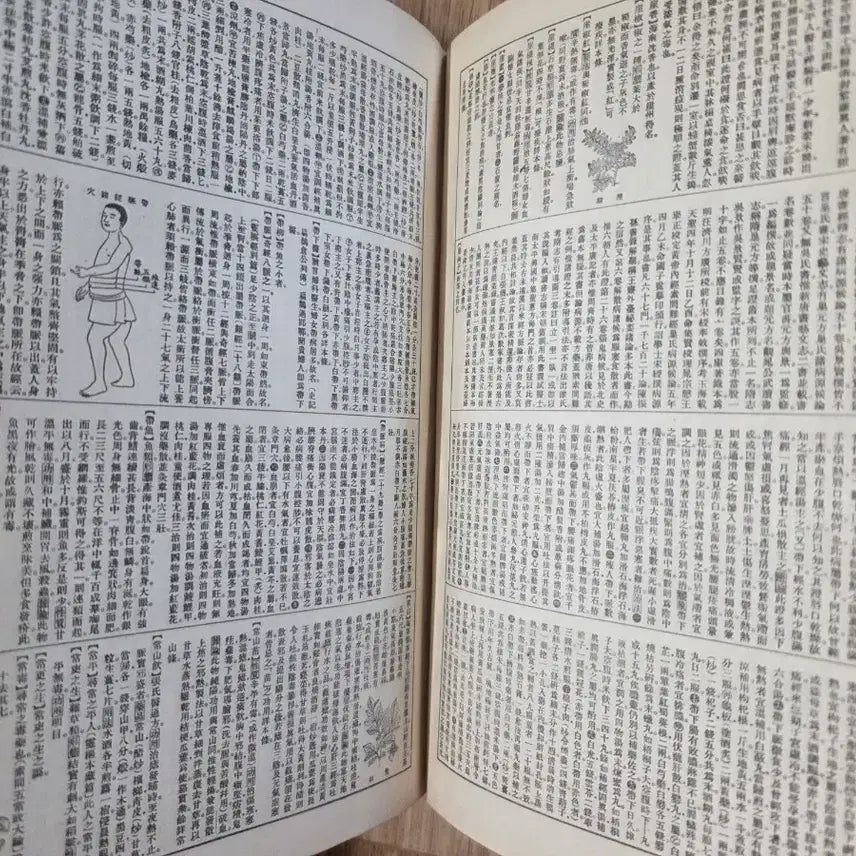 [BUNJANG] 일제강점기 소화13년 조선 경성 동양 의학 대사전 / 일제강점기 소화13년 조선 경성 동양 의학 대사전