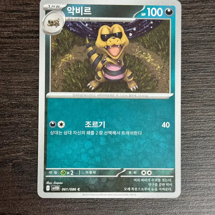 [BUNJANG] Pokemon Card Grotle Set / 포켓몬카드 악비르 판매 2