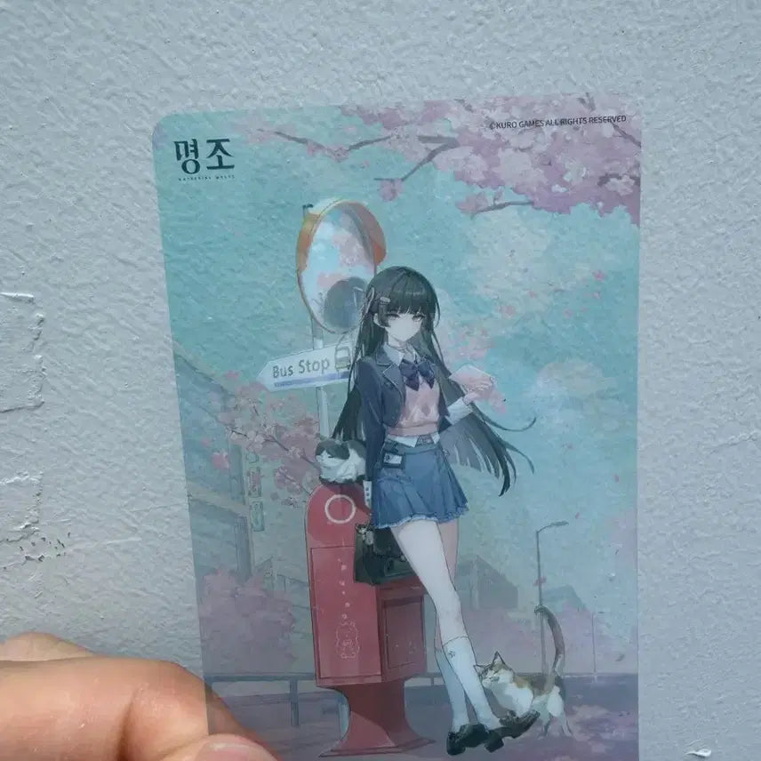 [SOLD OUT] 명조 팝업 치사 한정 포토카드