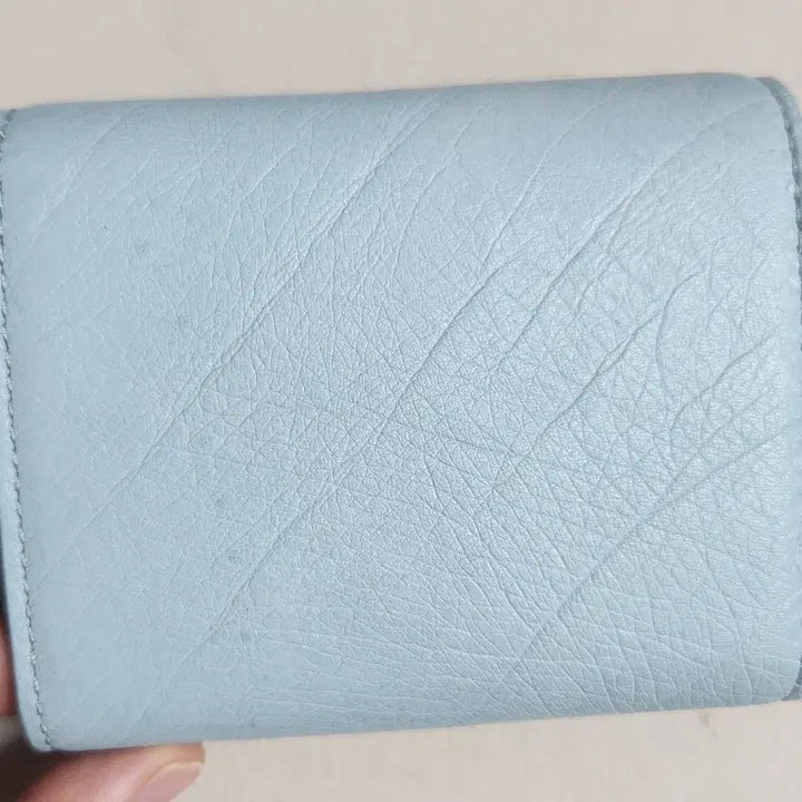 [BUNJANG] Tazojak Card Wallet / 뱀머리 타조가죽 카드지갑(새상품 진짜 가죽)