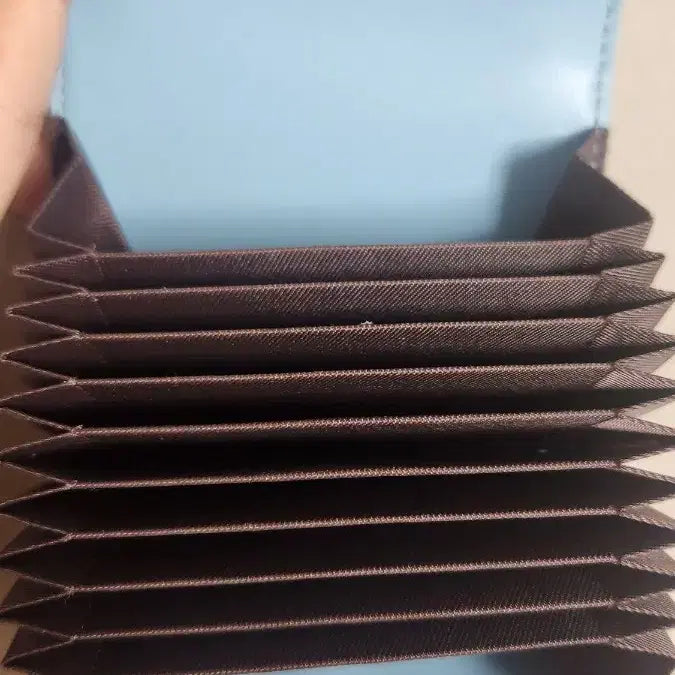 [BUNJANG] Tazojak Card Wallet / 뱀머리 타조가죽 카드지갑(새상품 진짜 가죽)