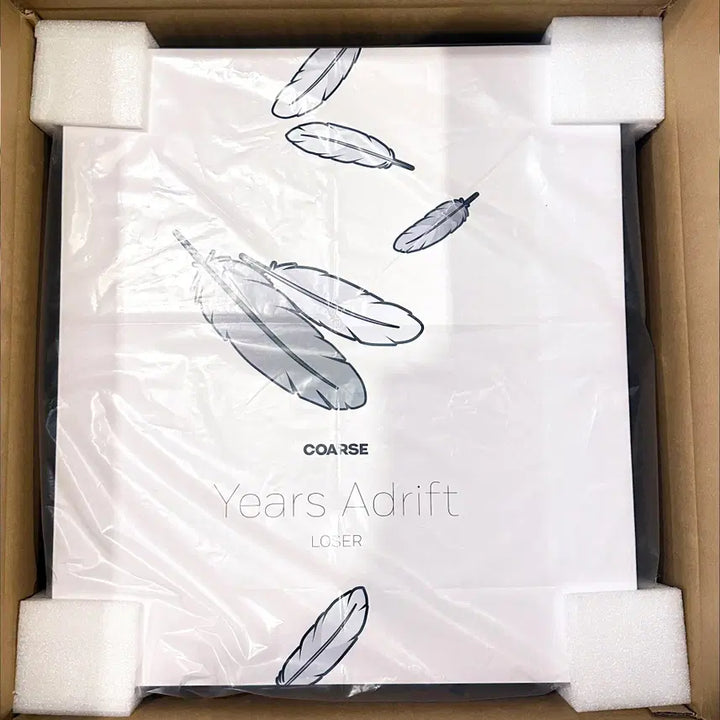 [BUNJANG] COARSE Years Adrift LOSER Art Toy / 코어스 COARSE 아트토이 Years Adrift LOSER 판매합니다