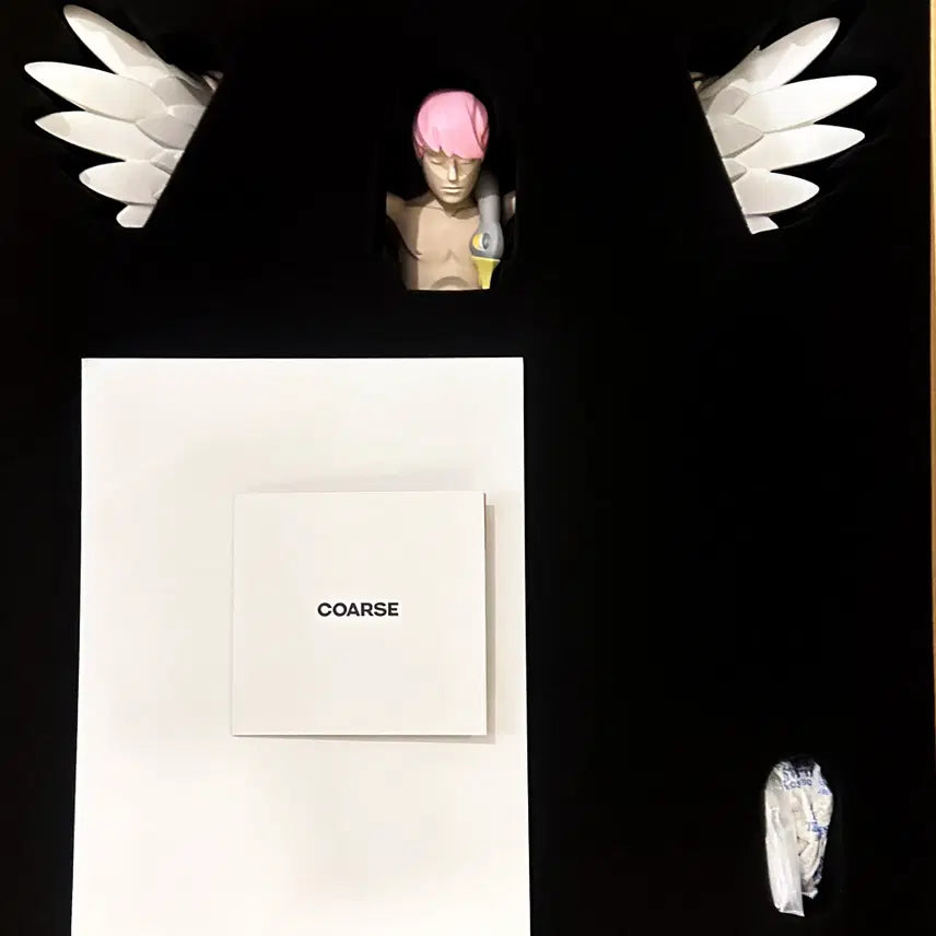 [BUNJANG] COARSE Years Adrift LOSER Art Toy / 코어스 COARSE 아트토이 Years Adrift LOSER 판매합니다