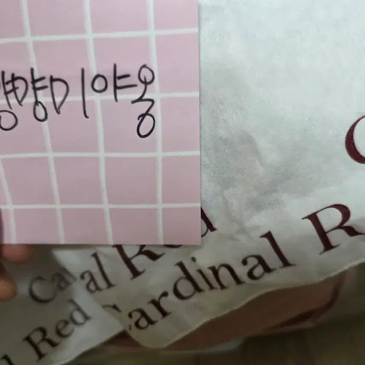 [BUNJANG] Cardinal Red Hawooa Bag White / [새상품] 카디널레드 하우아백 화이트 Hawooa bag White