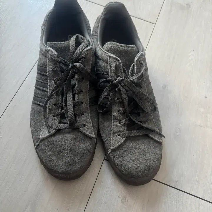 [BUNJANG] Adidas Campus Suede Sneakers Size 260 / 아디다스 스웨이드 캠퍼스 운동화 260