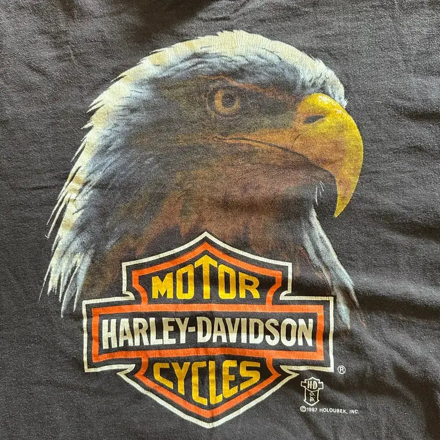 [BUNJANG] Harley Davidson Holoubek Eagle Vintage T-shirt / 80s  Harley davidson Holoubek Eagle - XL