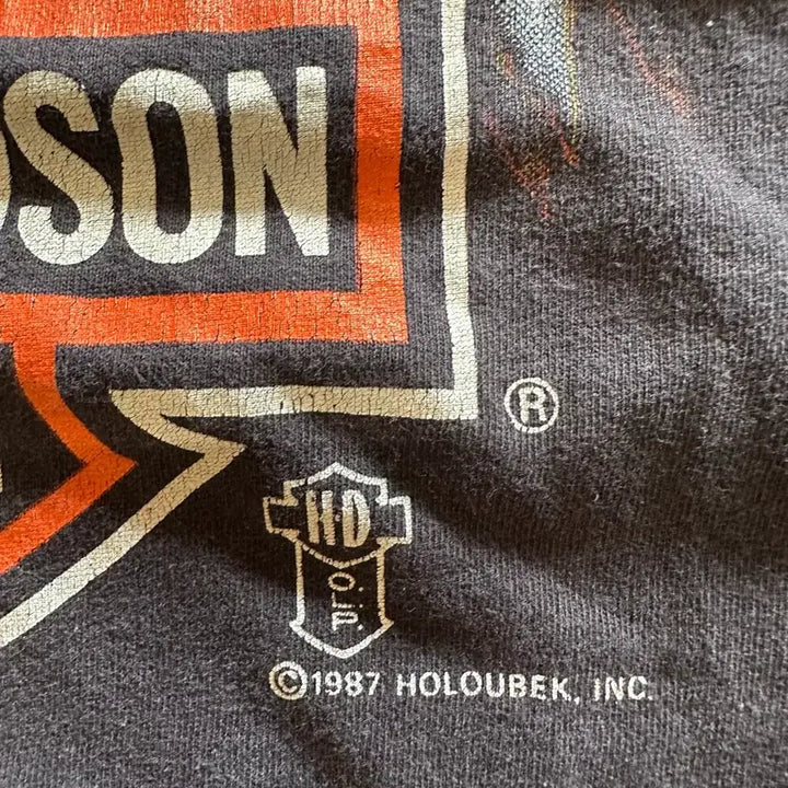 [BUNJANG] Harley Davidson Holoubek Eagle Vintage T-shirt / 80s  Harley davidson Holoubek Eagle - XL