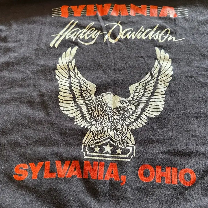 [BUNJANG] Harley Davidson Holoubek Eagle Vintage T-shirt / 80s  Harley davidson Holoubek Eagle - XL
